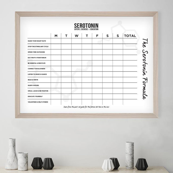 The Serotonin Formula - Poster